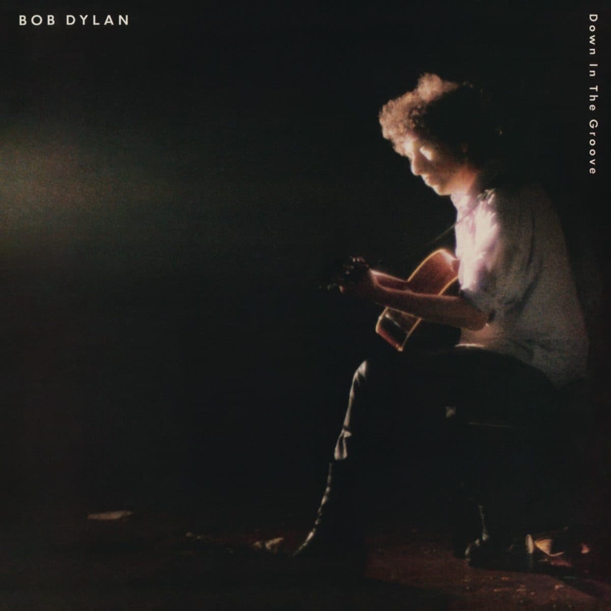 Pochette de Down in the Groove
